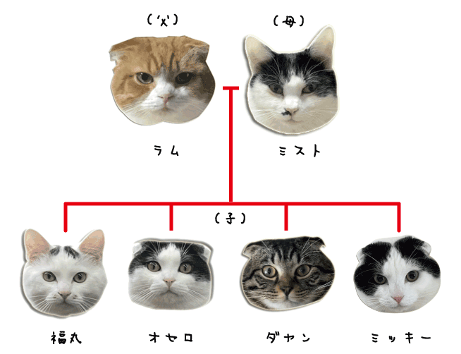 ラム一家の家族構成